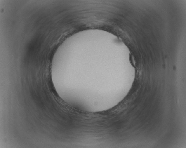 X0000081281012200702012213