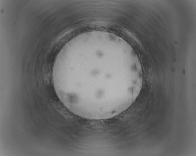 X0000081281015200702012213