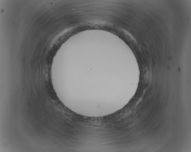 X0000081281016200702012213