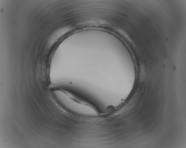 X0000081281018200702012213