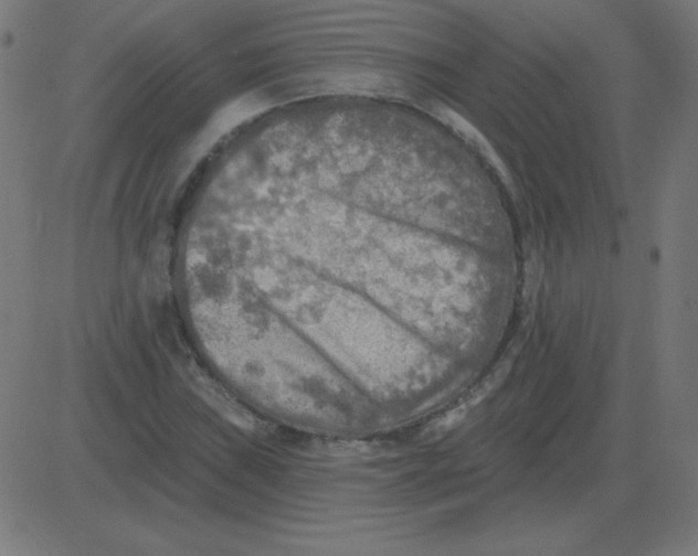 X0000081281019200702012213