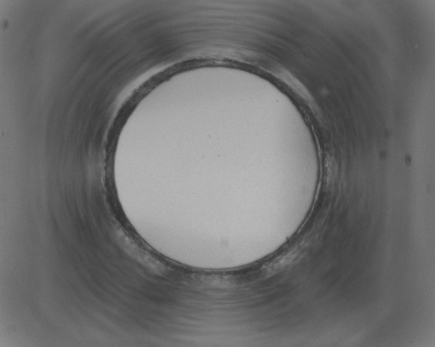 X0000081281020200702012213