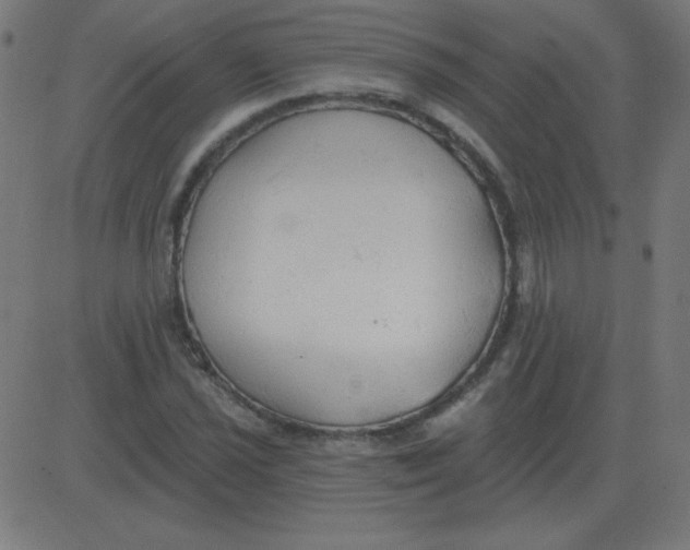 X0000081281021200702012213