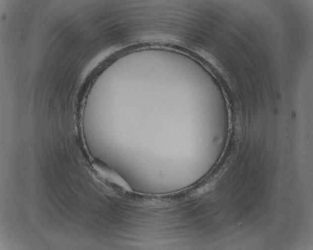 X0000081281022200702012213