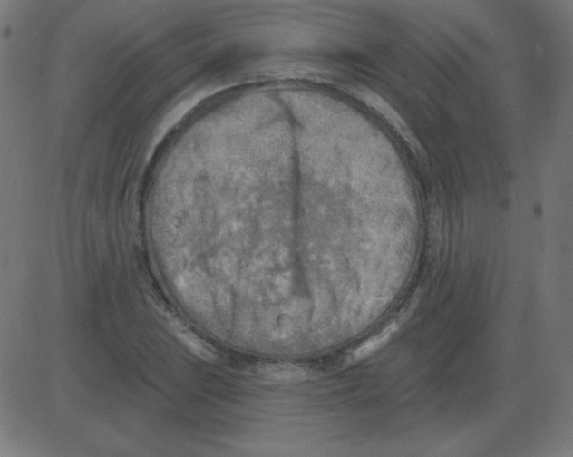 X0000081281023200702012213