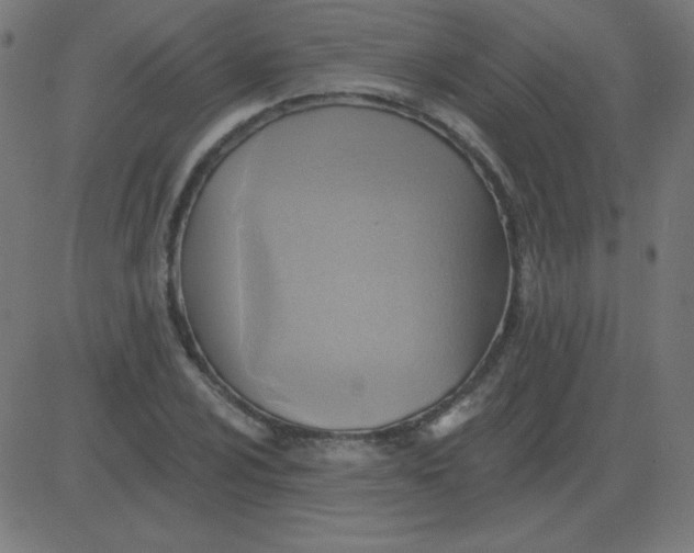 X0000081281024200702012213