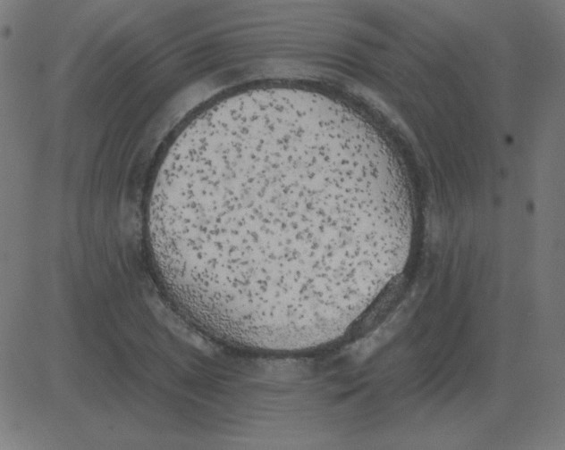 X0000081281025200702012213