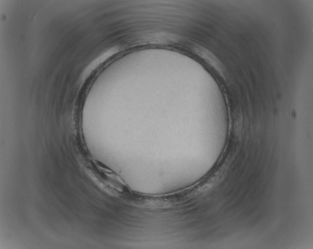 X0000081281026200702012213