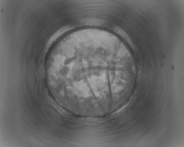 X0000081281027200702012213