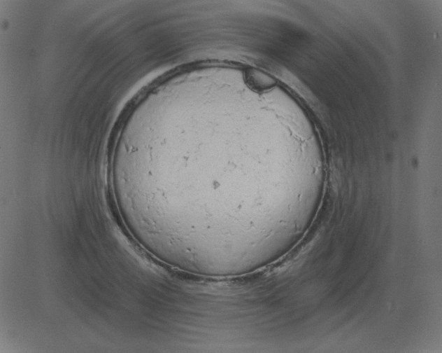 X0000081281028200702012213