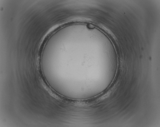 X0000081281029200702012213