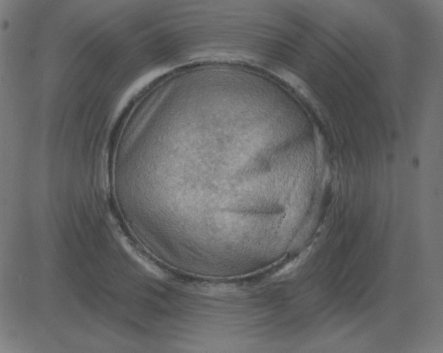 X0000081281030200702012213