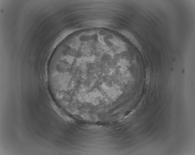 X0000081281031200702012213