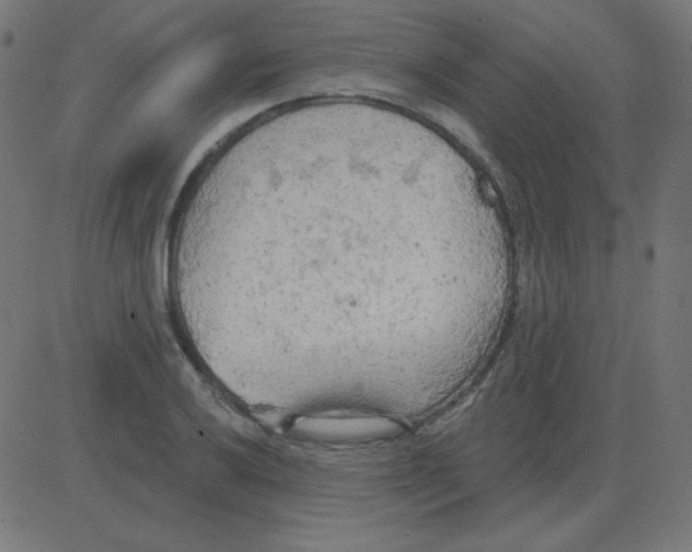 X0000081281032200702012213