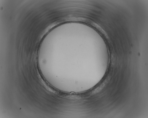 X0000081281033200702012213