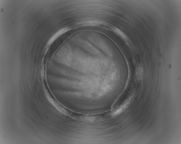 X0000081281034200702012213