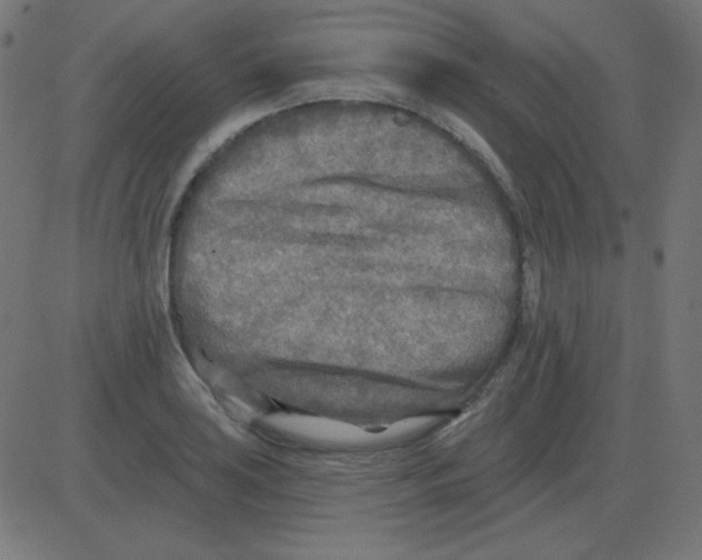 X0000081281035200702012213