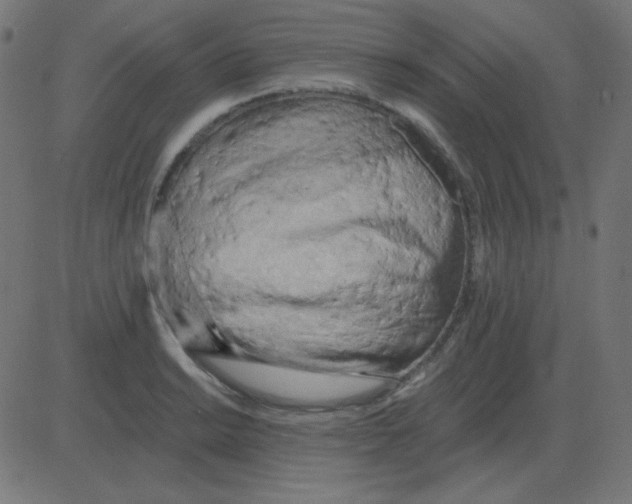 X0000081281038200702012213