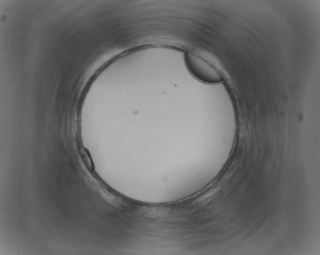 X0000081281040200702012214