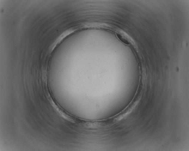 X0000081281041200702012214