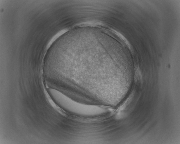 X0000081281042200702012214