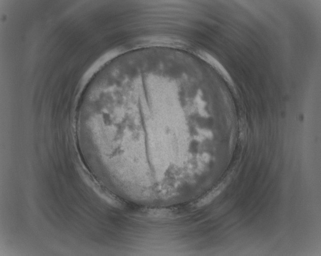 X0000081281043200702012214