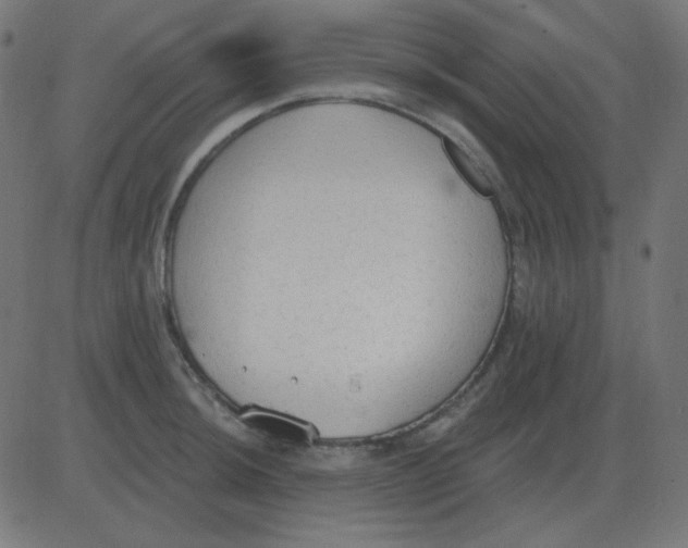 X0000081281044200702012214