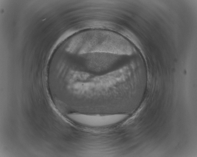 X0000081281045200702012214