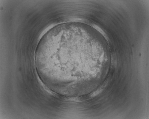 X0000081281047200702012214