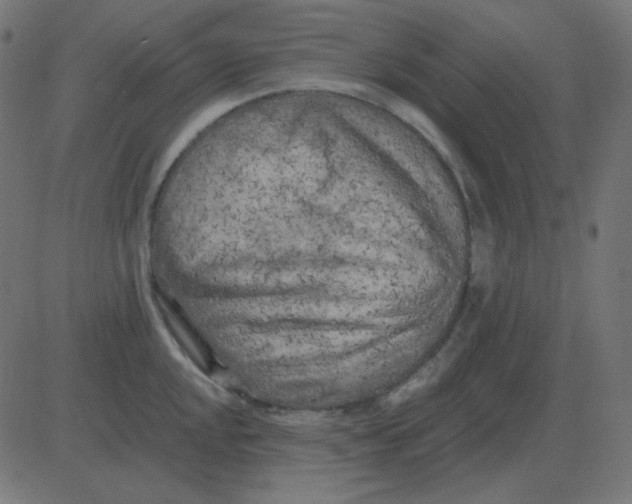 X0000081281048200702012214