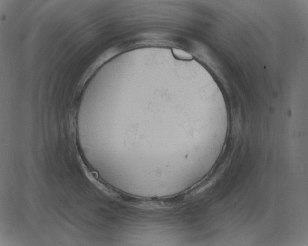 X0000081281049200702012214