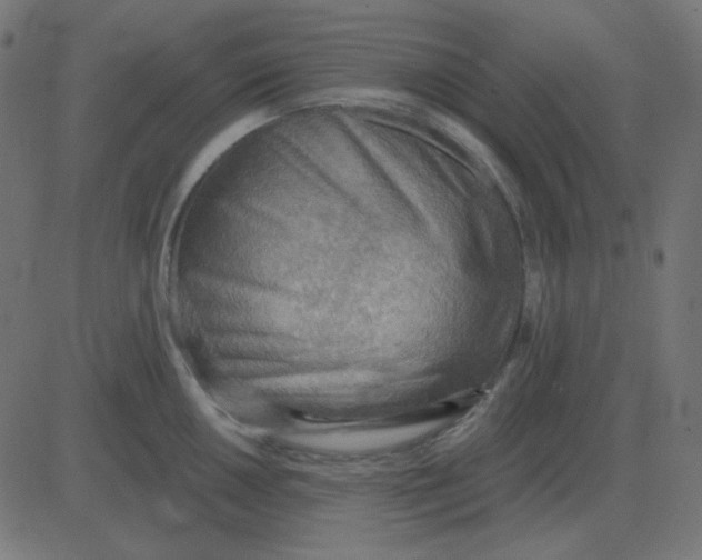 X0000081281050200702012214