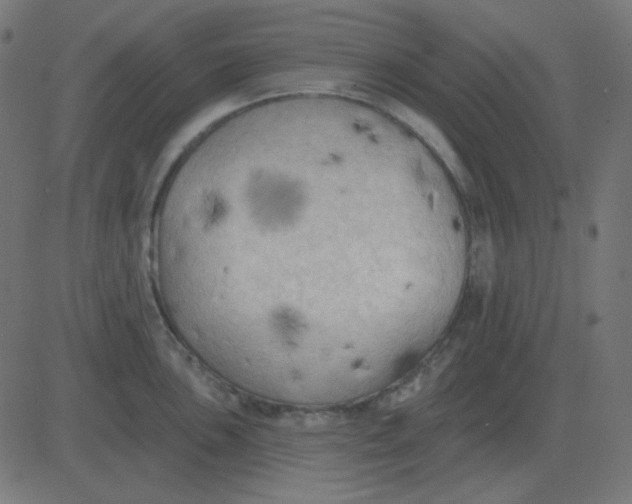 X0000081281051200702012214