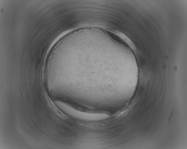 X0000081281052200702012214