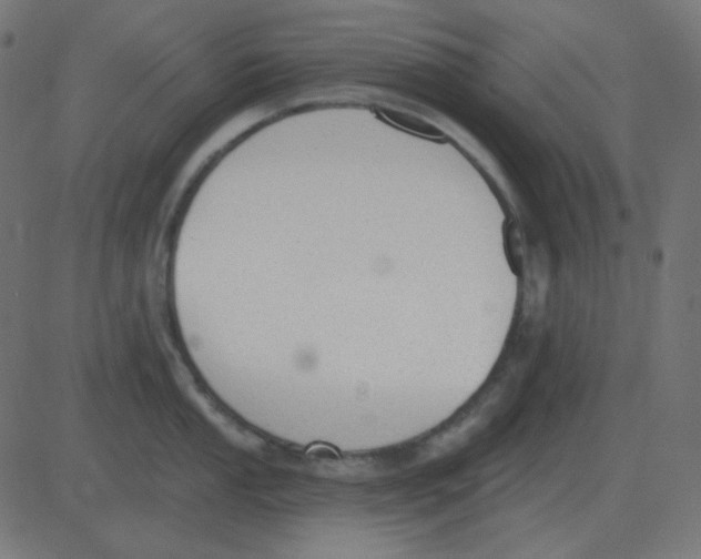 X0000081281053200702012214