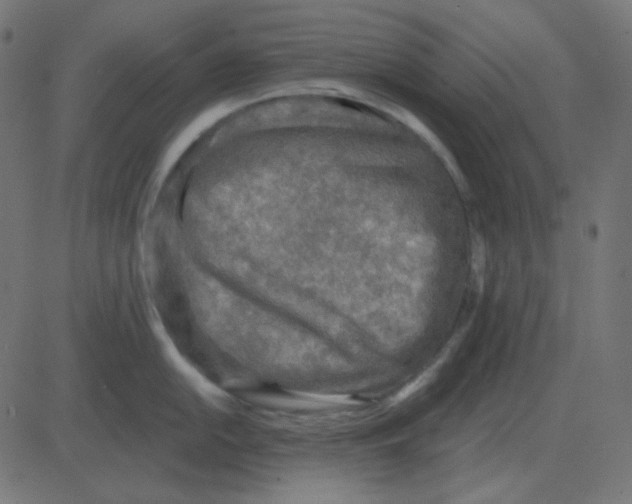 X0000081281054200702012214