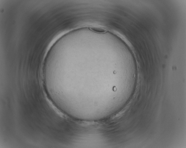 X0000081281056200702012214