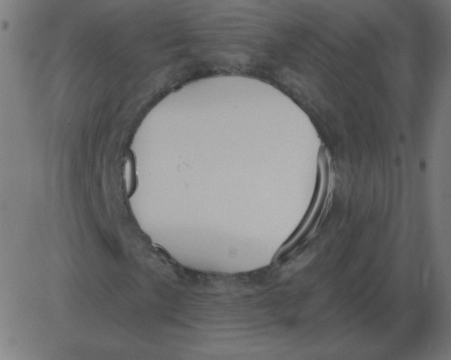 X0000081281057200702012213