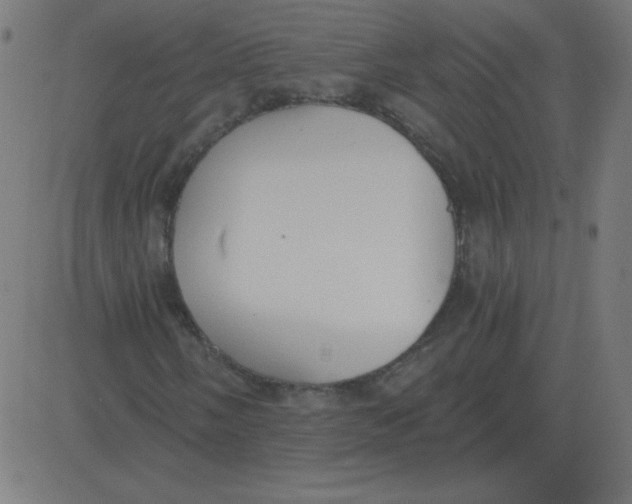 X0000081281058200702012213