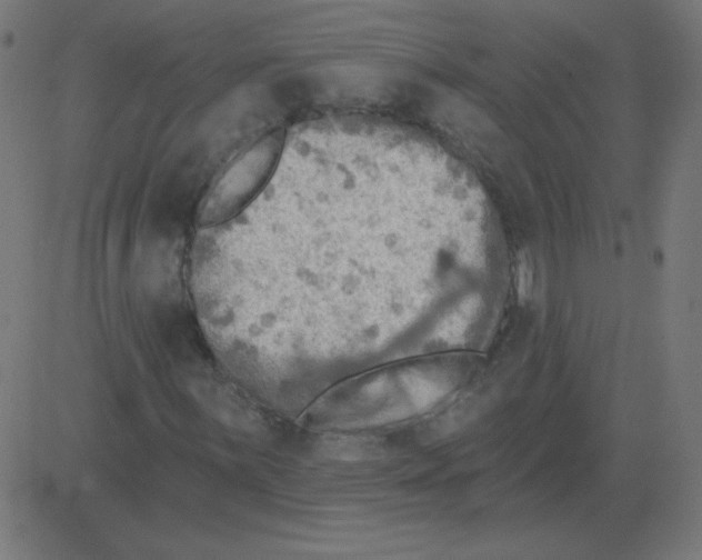 X0000081281059200702012213