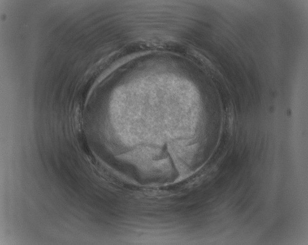 X0000081281060200702012213