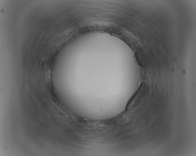 X0000081281061200702012213