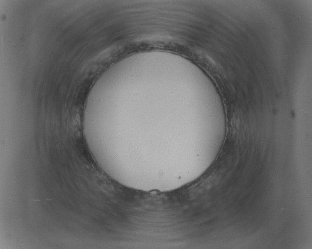 X0000081281062200702012213