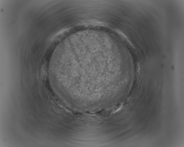 X0000081281063200702012213