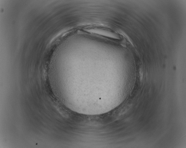 X0000081281064200702012213