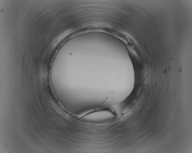 X0000081281065200702012213