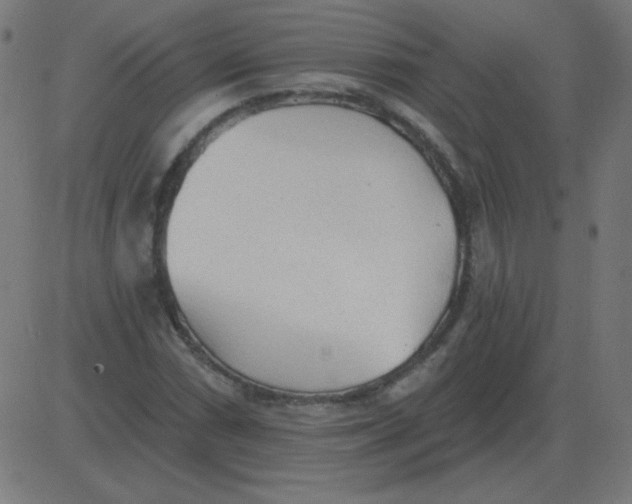 X0000081281066200702012213