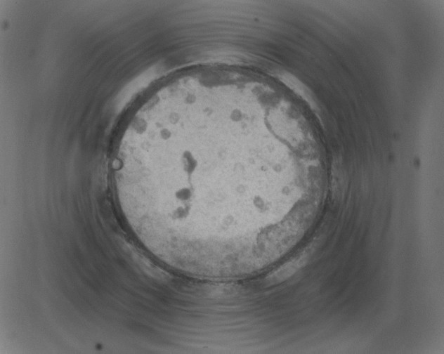 X0000081281067200702012213