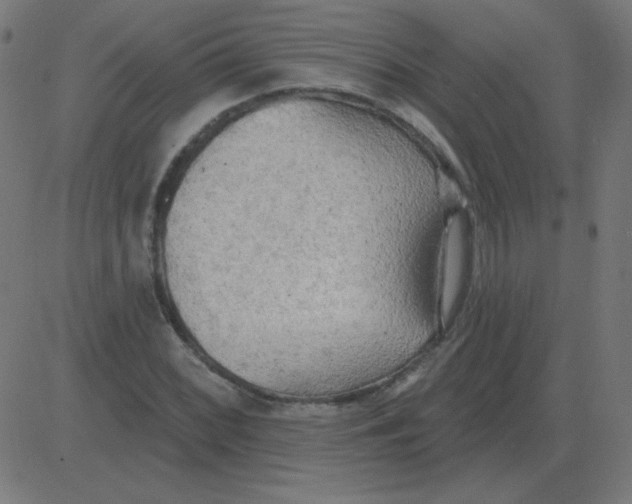 X0000081281068200702012213