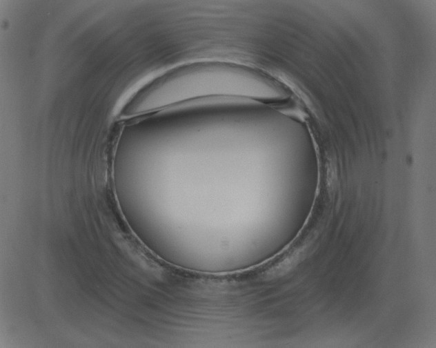 X0000081281069200702012213